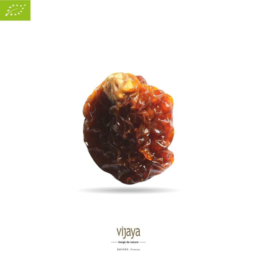 Vijaya