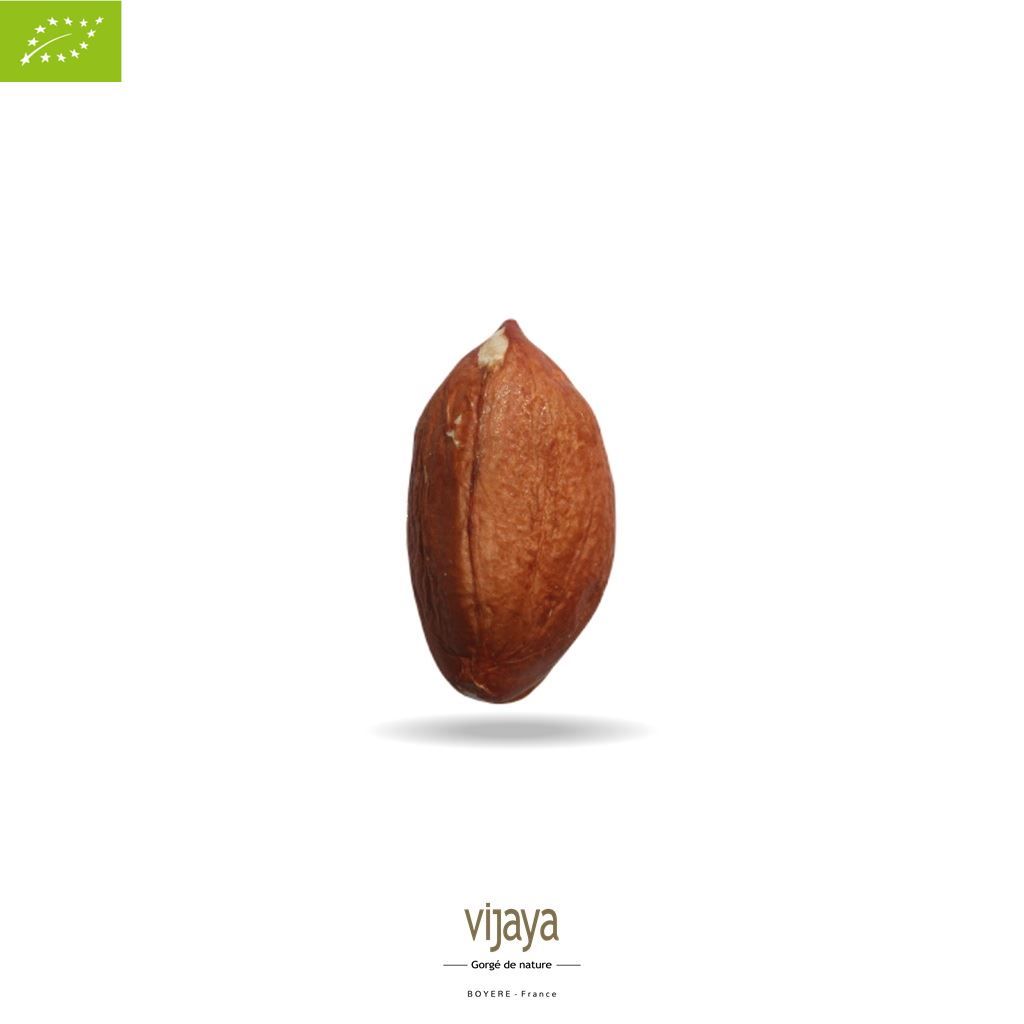 Vijaya