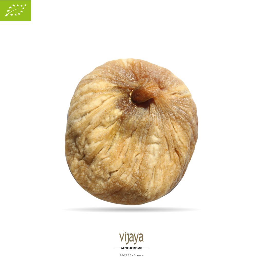 Vijaya