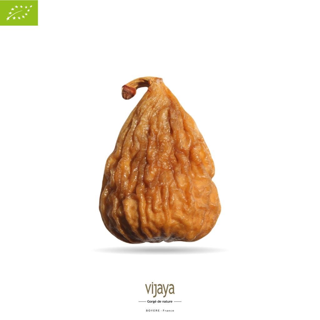 Vijaya