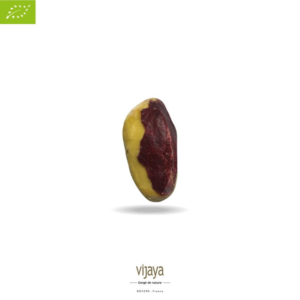 Vijaya