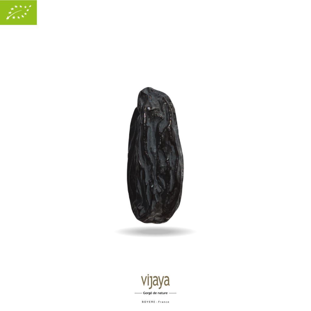 Vijaya