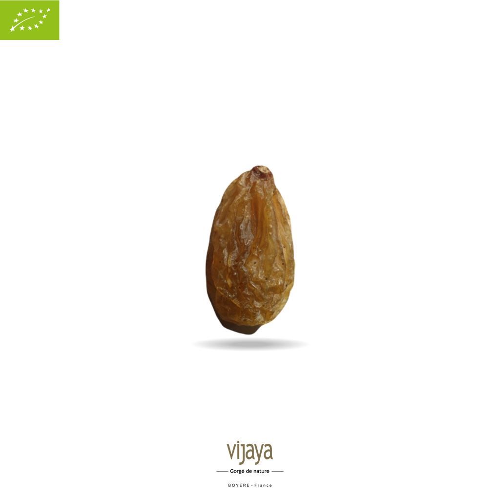 Vijaya