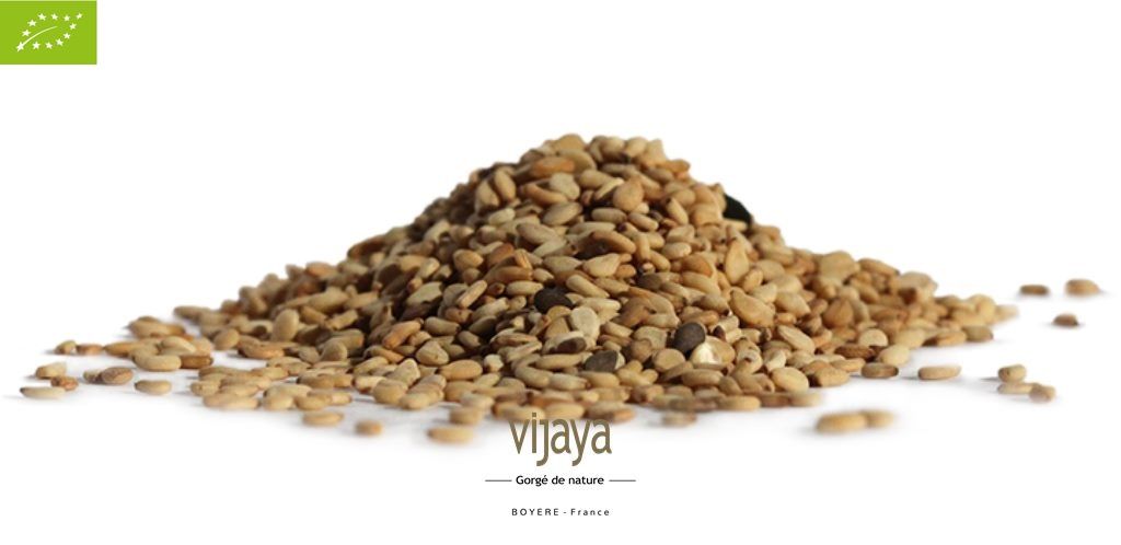 Vijaya