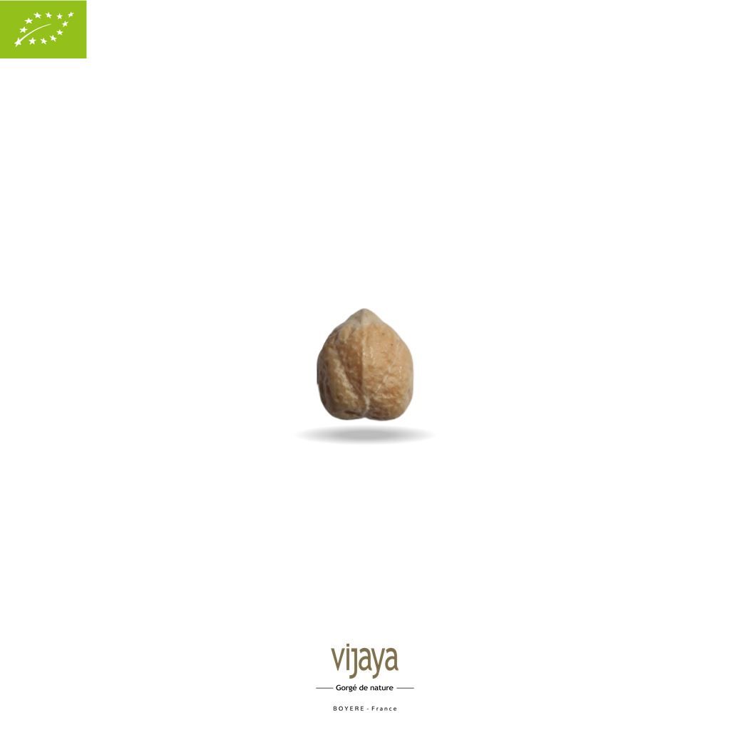 Vijaya