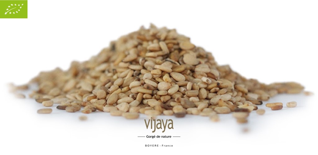 Graine de Sésame Blanc Complet - OUGANDA - 25 kg - Bio*
