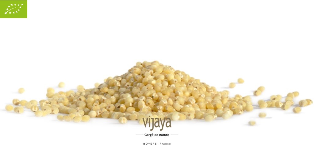 Millet Décortiqué - FRANCE - 25 kg - Bio*