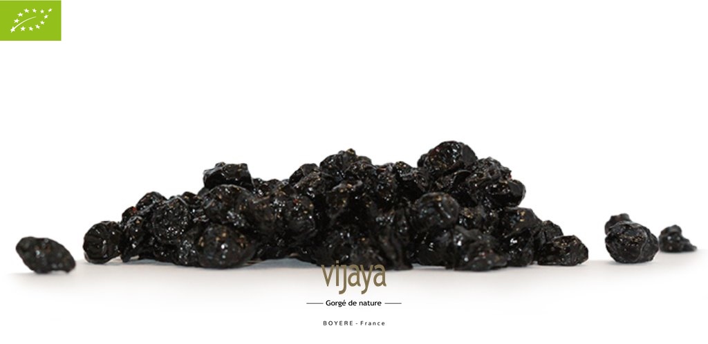 Myrtille Séchée Sauvage au Jus de Pomme- COEUR DES BALKANS-5x1kg-Bio*