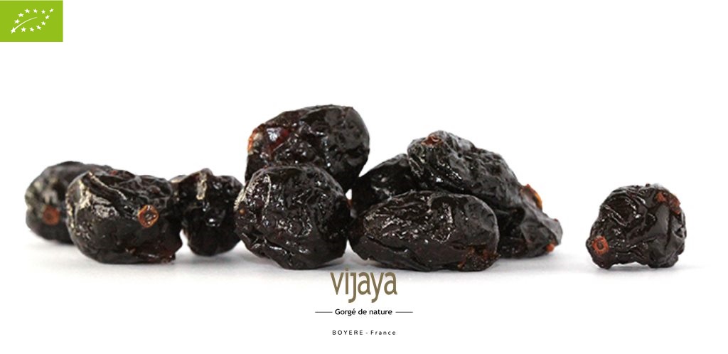 Cranberry(Canneberge) Entière Séchée-Jus de Pomme-CANADA-11,34Kg-Bio*