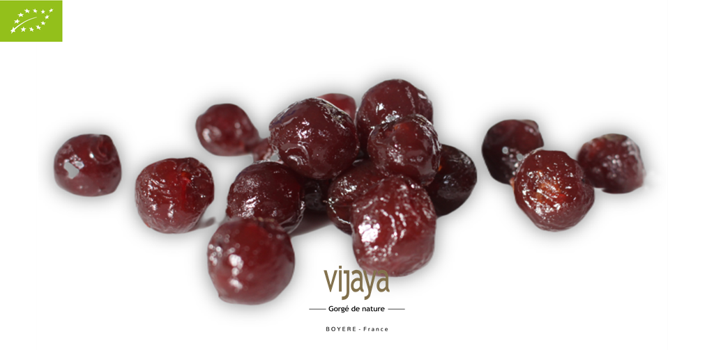 L'Ecorce d'Orange Confite Bio - Fruits Confits Bio - Vijaya