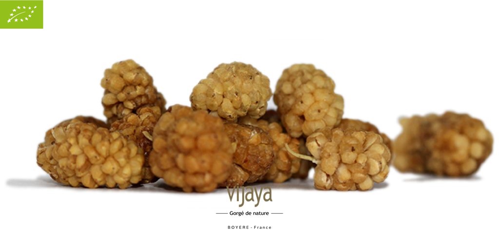 Mûre - Mulberry Blanche Séchée - TURQUIE - 4x2.5Kg - Bio*