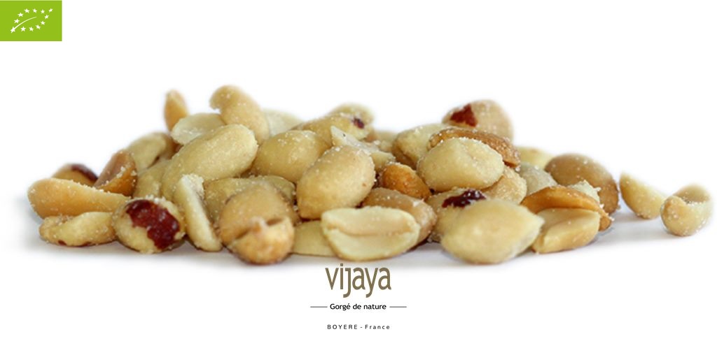 Arachide Décortiquée Grillée Salée - EGYPTE - 2 x 5 kg - Bio*