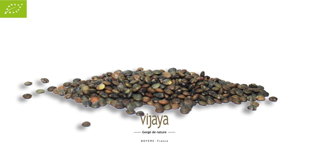 Lentille Verte - FRANCE - 25 kg - Bio*